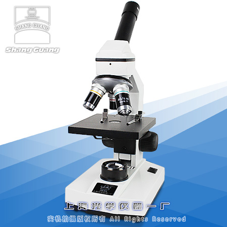 �W���@΢�R36XL